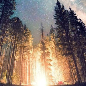 Meet your Posher, Audrey